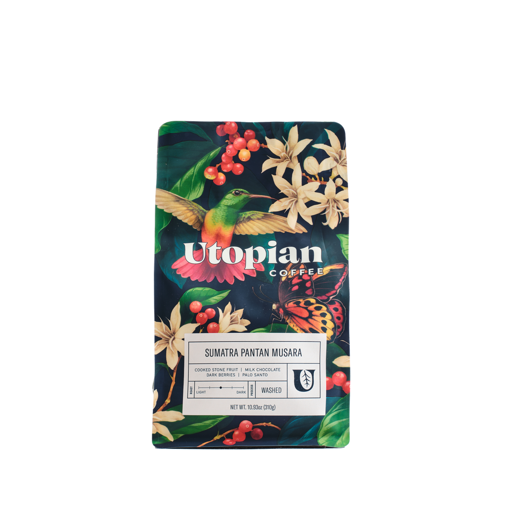 Sumatra Pantan Musara